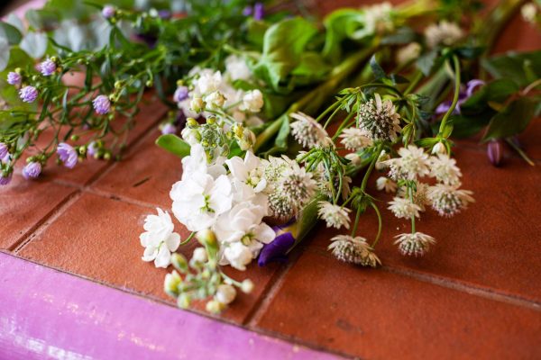 Persephone Violet Seasonal Stems